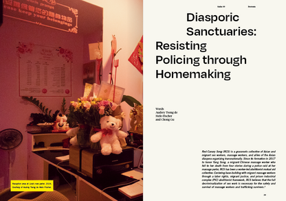 Protests, Issue #9 - Print